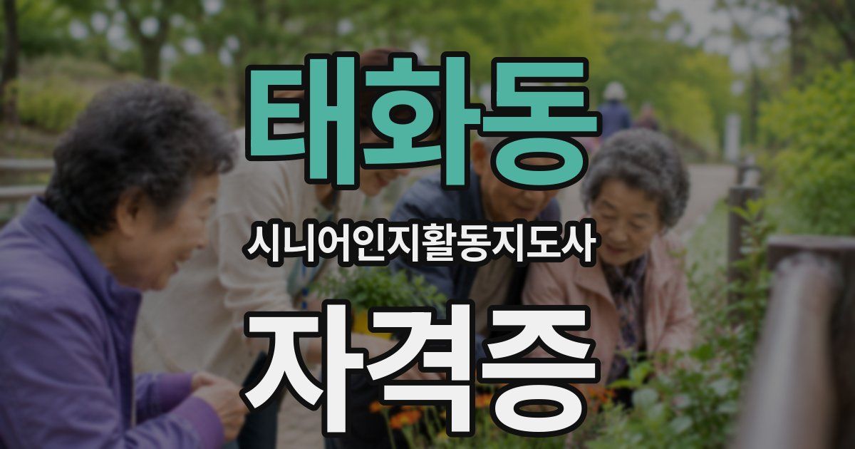 태화동 시니어인지활동지도사 자격증