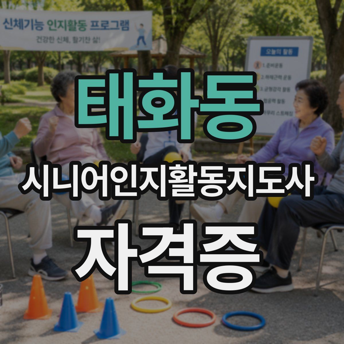태화동 시니어인지활동지도사 자격증