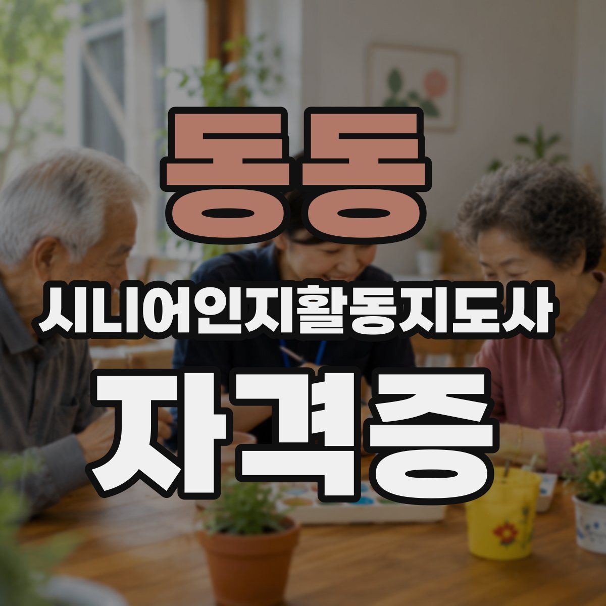 동동 시니어인지활동지도사 자격증