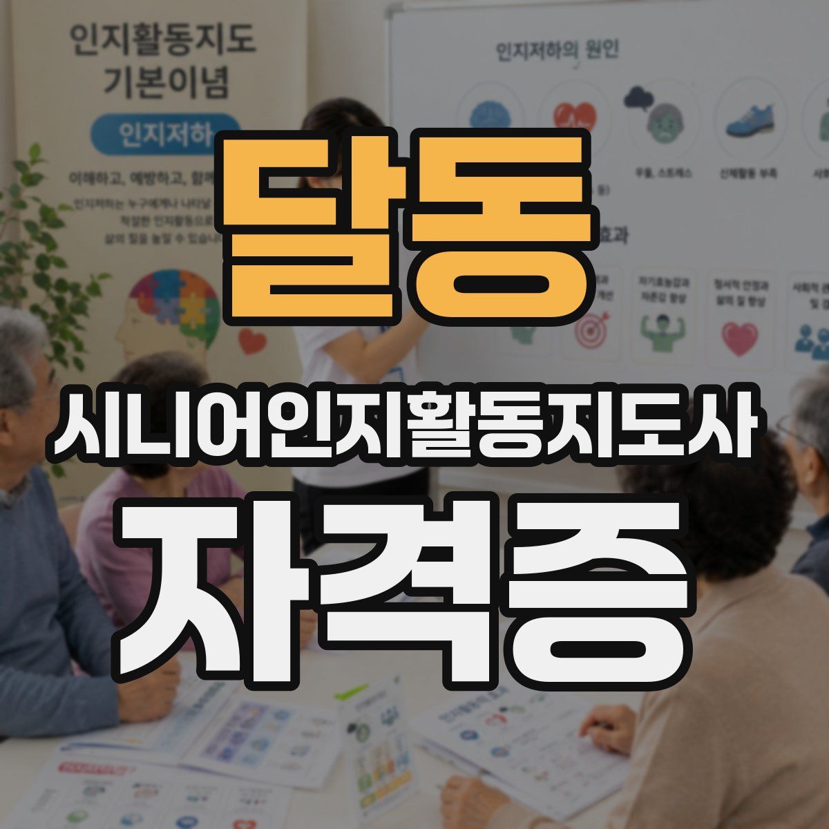 달동 시니어인지활동지도사 자격증