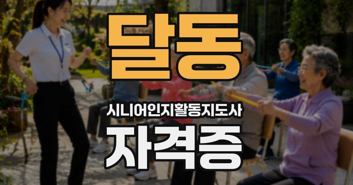 달동 시니어인지활동지도사 자격증