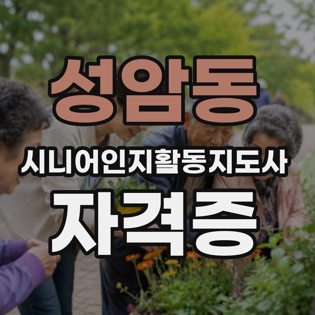 성암동 시니어인지활동지도사 자격증