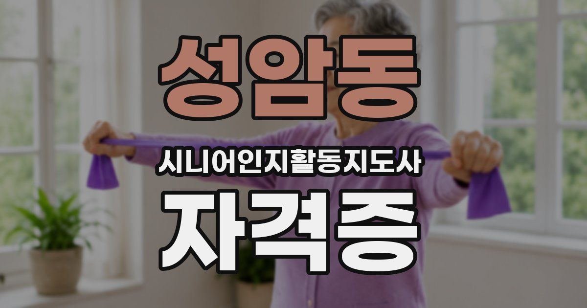 성암동 시니어인지활동지도사 자격증