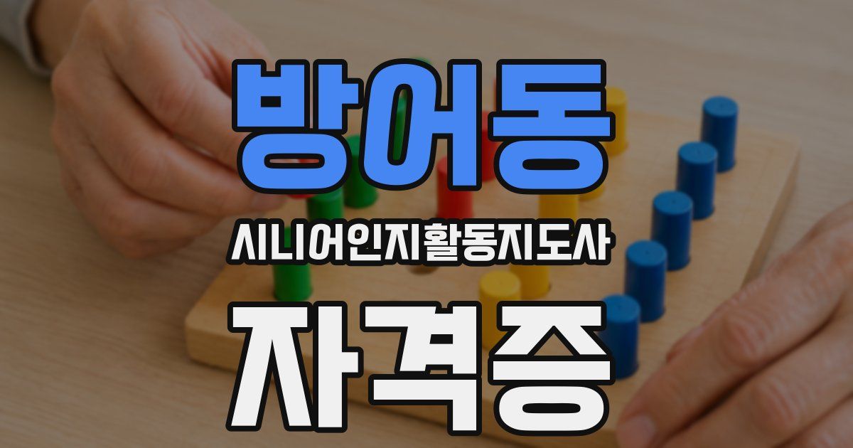 방어동 시니어인지활동지도사 자격증