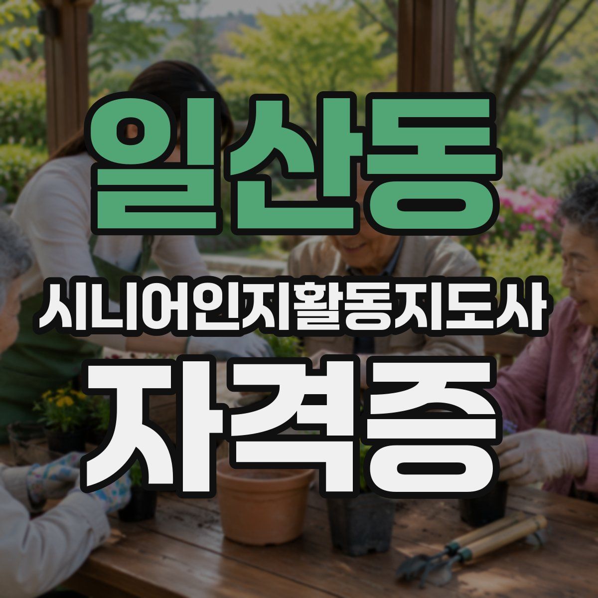 일산동 시니어인지활동지도사 자격증