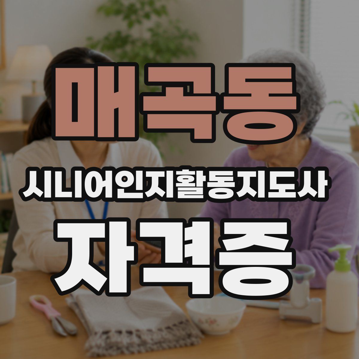 매곡동 시니어인지활동지도사 자격증