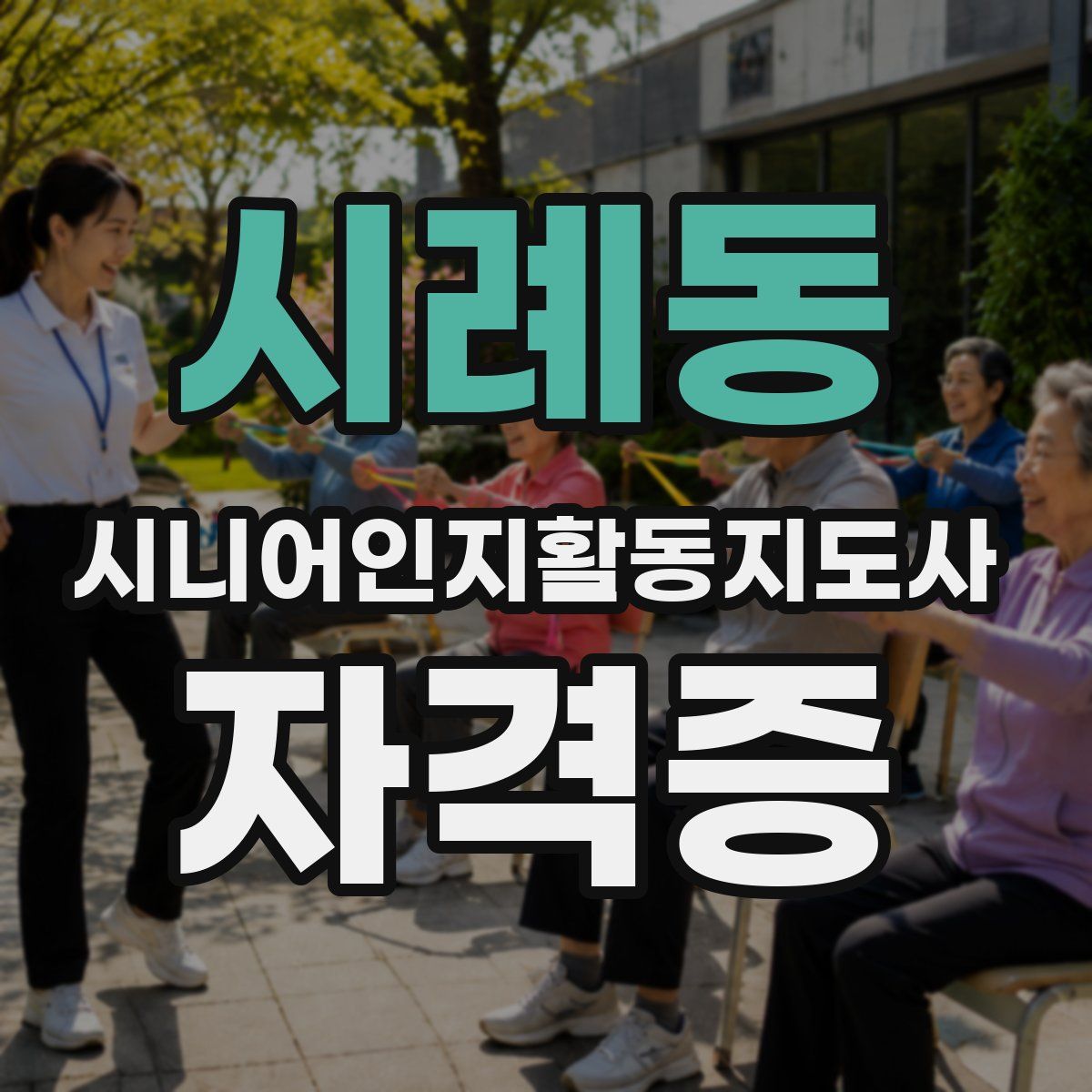 시례동 시니어인지활동지도사 자격증