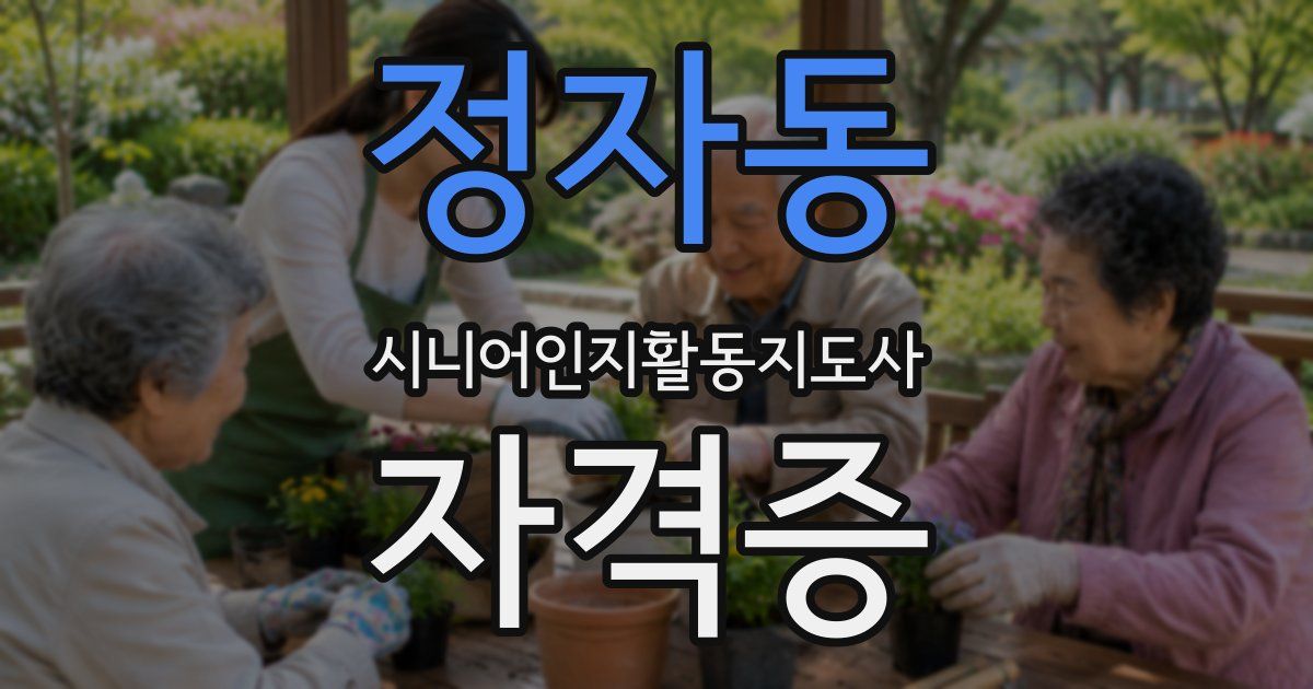 정자동 시니어인지활동지도사 자격증