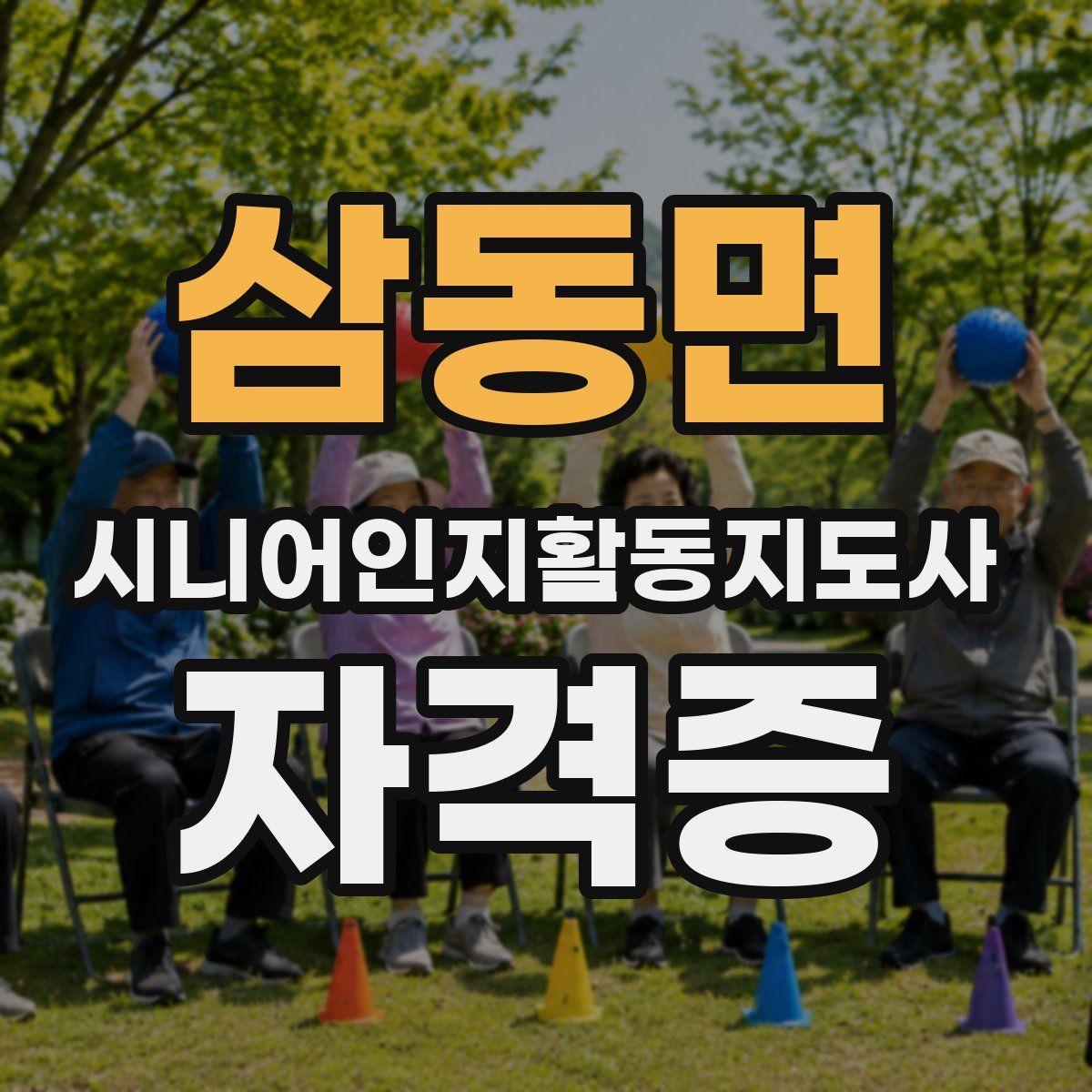 삼동면 시니어인지활동지도사 자격증