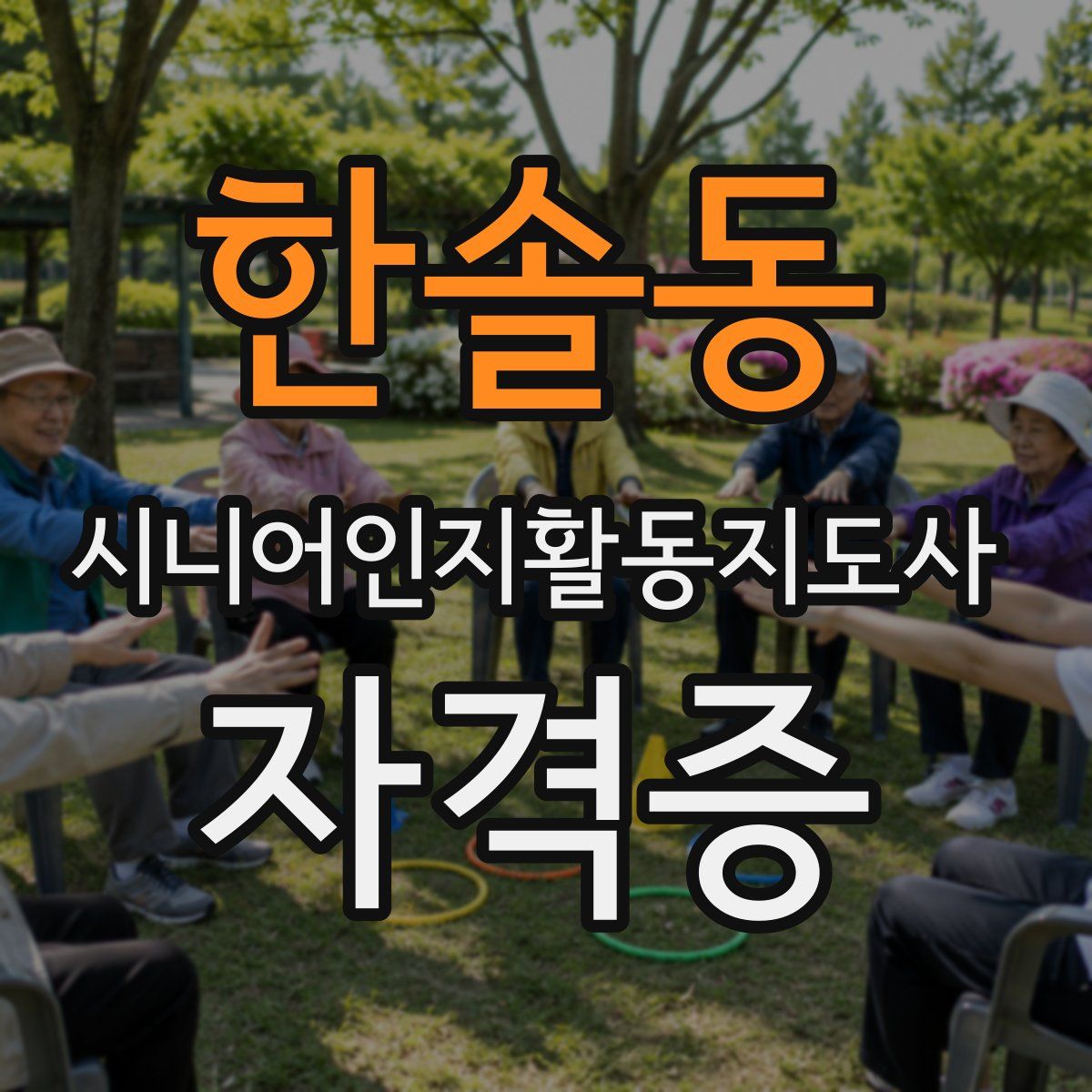 한솔동 시니어인지활동지도사 자격증