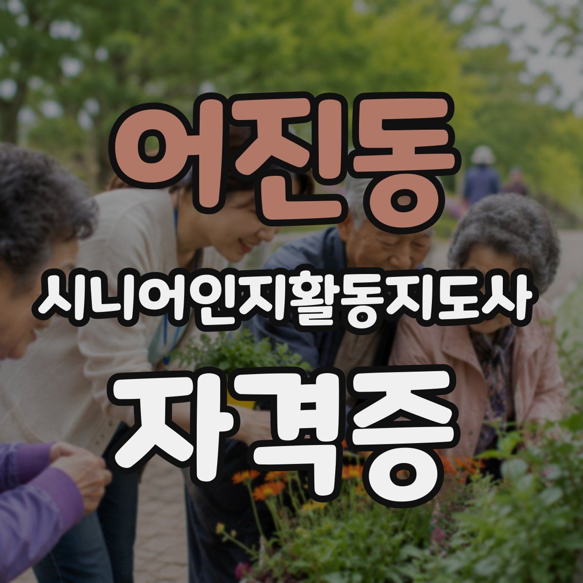 어진동 시니어인지활동지도사 자격증