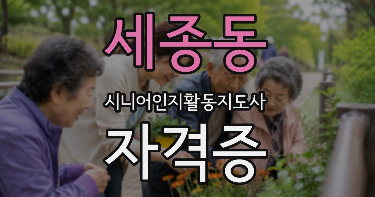 세종동 시니어인지활동지도사 자격증