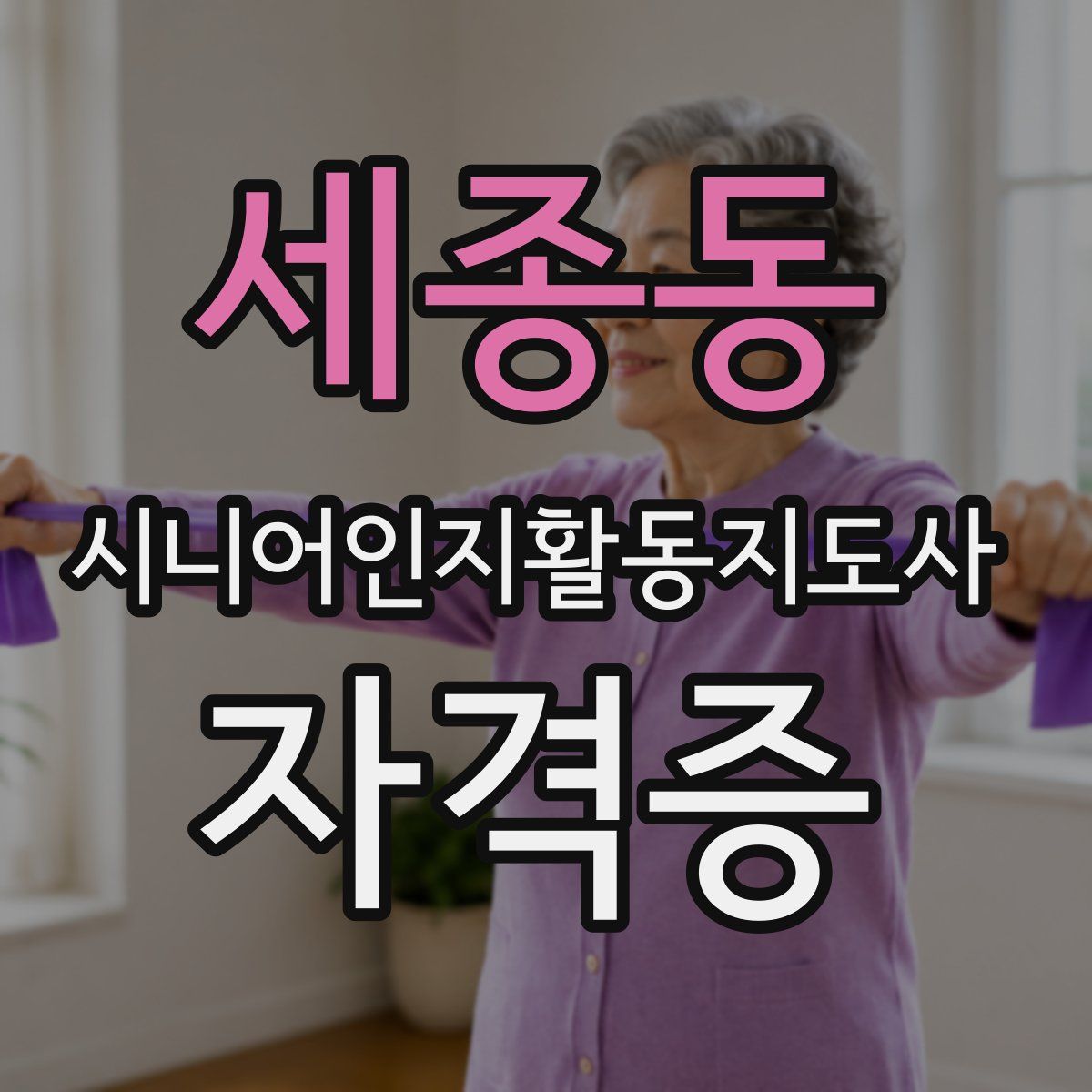 세종동 시니어인지활동지도사 자격증