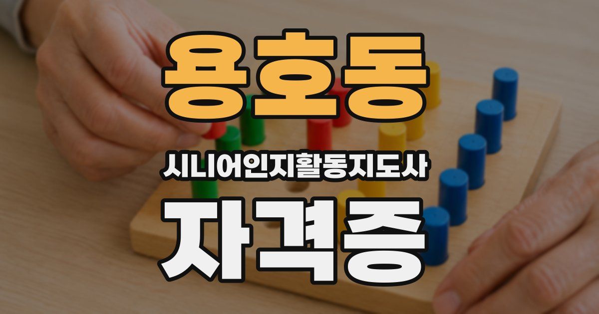 용호동 시니어인지활동지도사 자격증