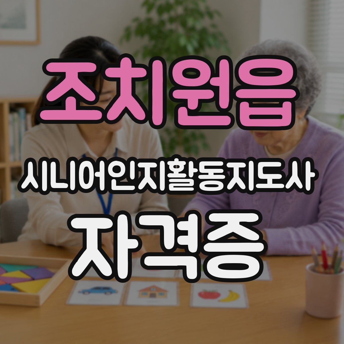 조치원읍 시니어인지활동지도사 자격증