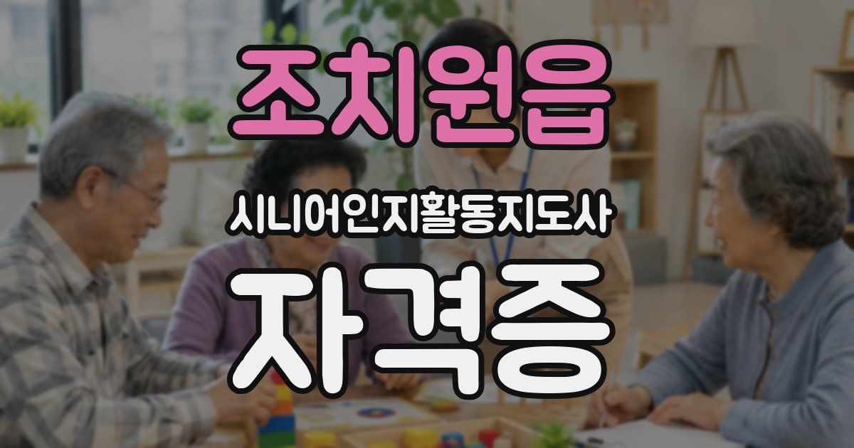 조치원읍 시니어인지활동지도사 자격증