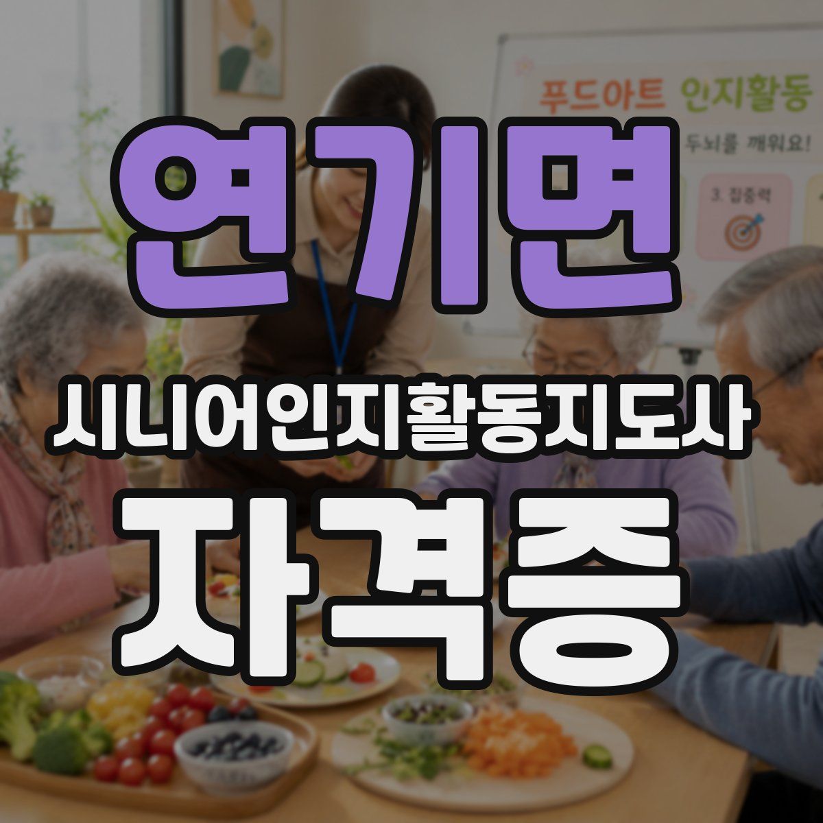 연기면 시니어인지활동지도사 자격증