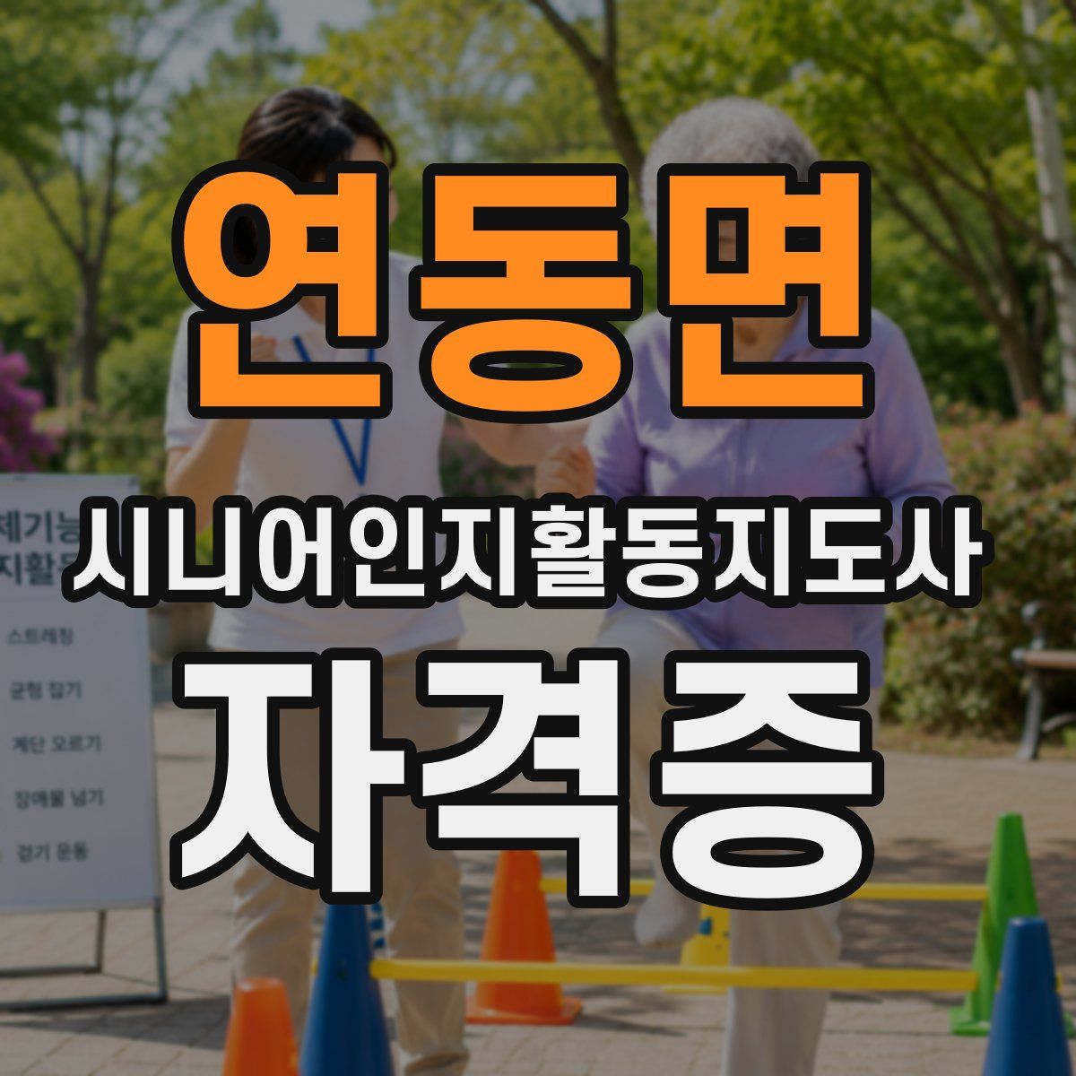 연동면 시니어인지활동지도사 자격증