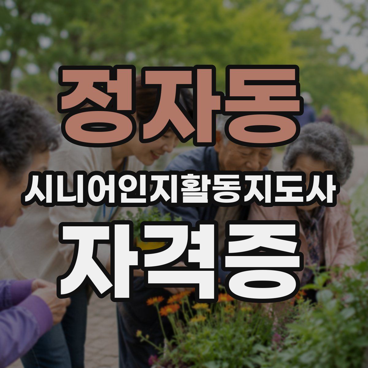 정자동 시니어인지활동지도사 자격증