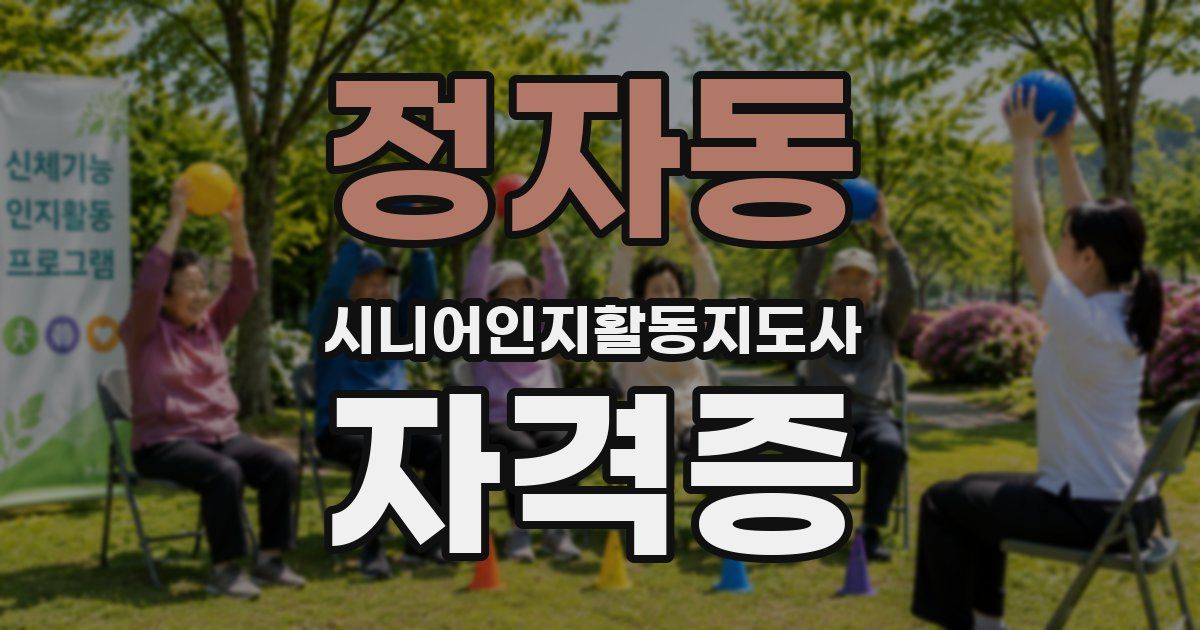정자동 시니어인지활동지도사 자격증