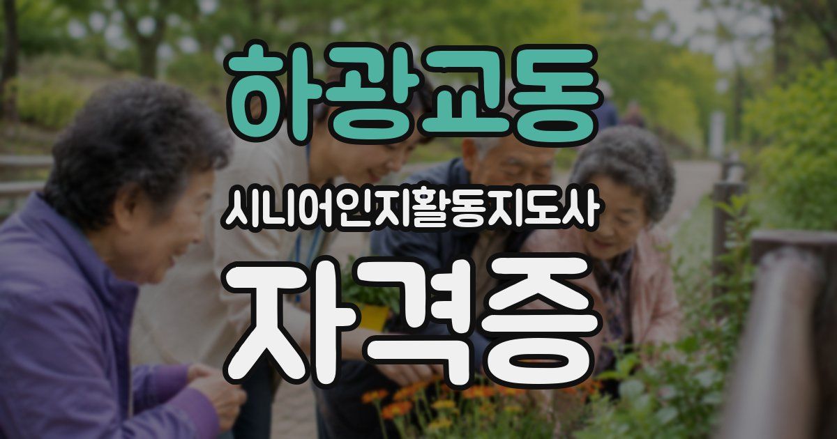 하광교동 시니어인지활동지도사 자격증