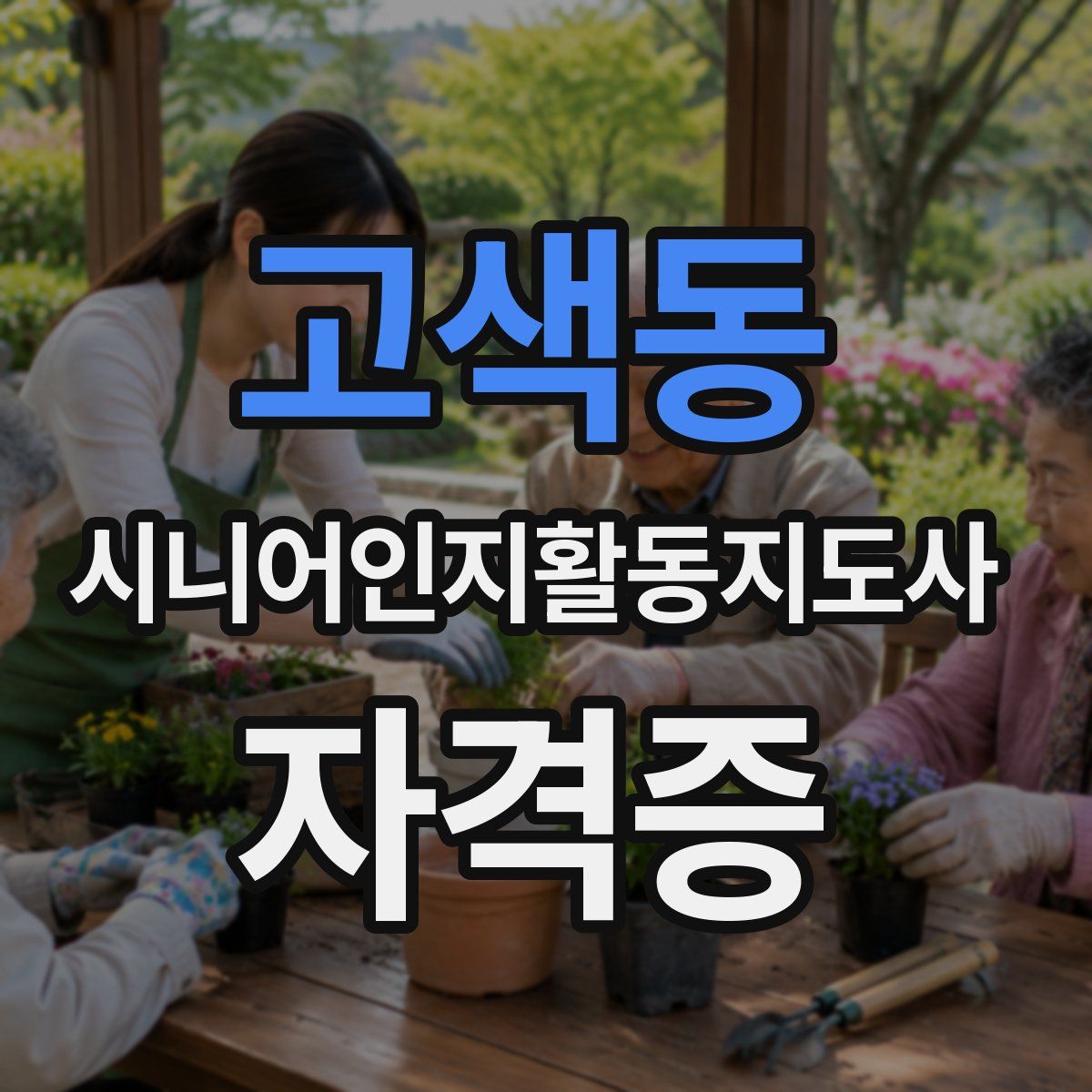 고색동 시니어인지활동지도사 자격증