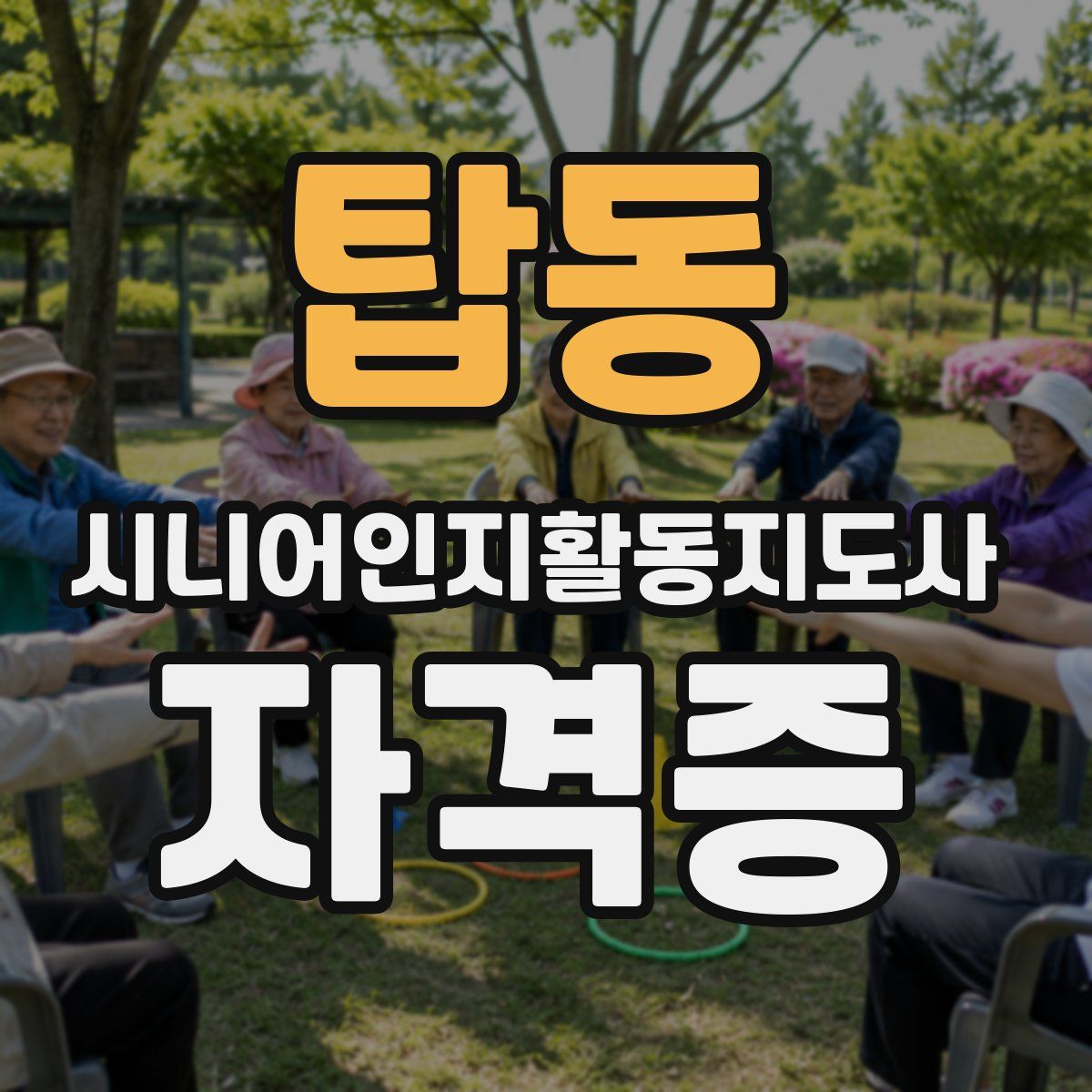 탑동 시니어인지활동지도사 자격증