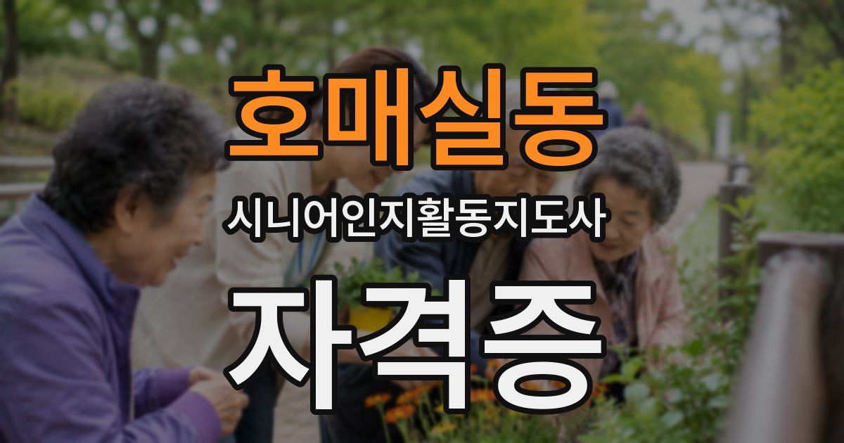 호매실동 시니어인지활동지도사 자격증