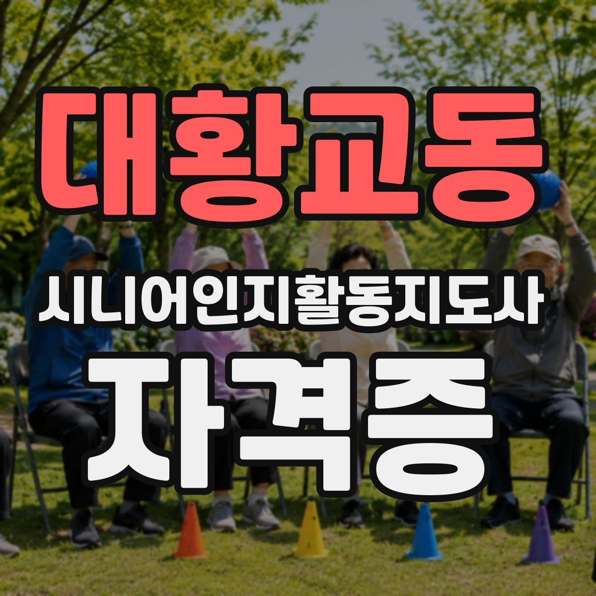 대황교동 시니어인지활동지도사 자격증