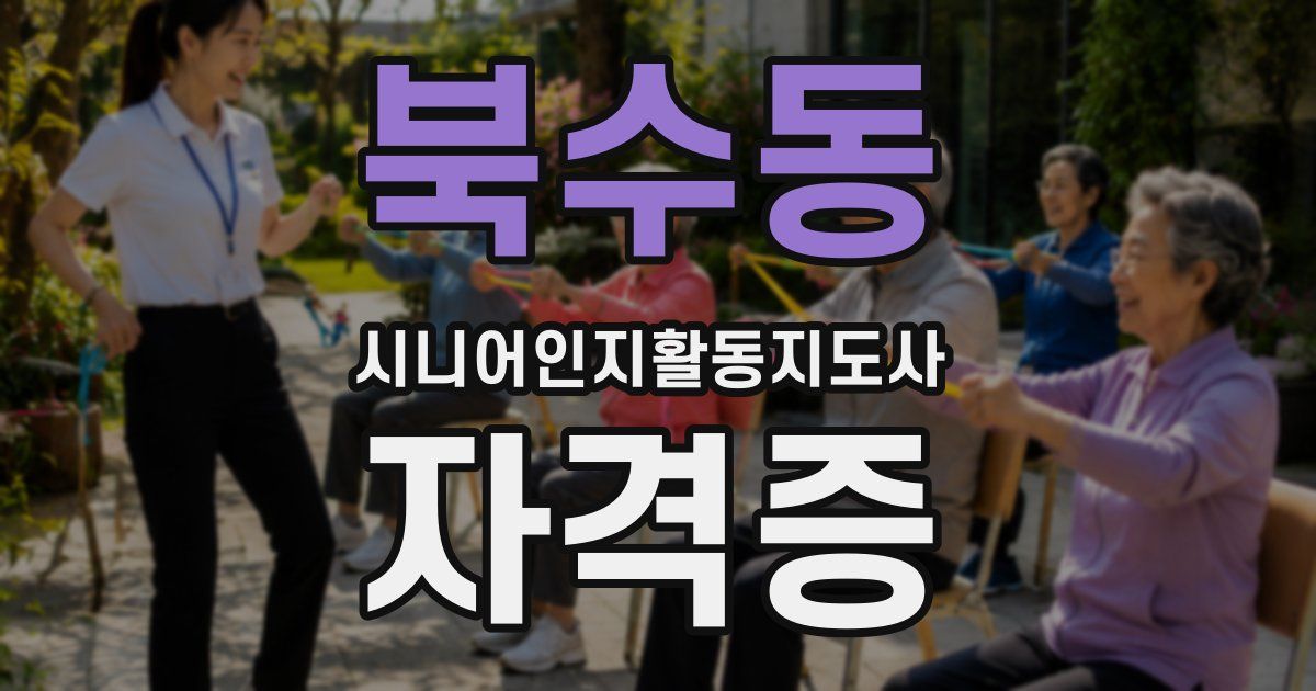 북수동 시니어인지활동지도사 자격증