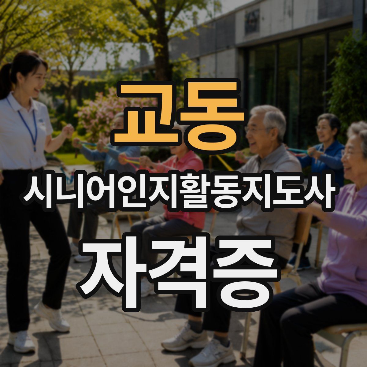 교동 시니어인지활동지도사 자격증