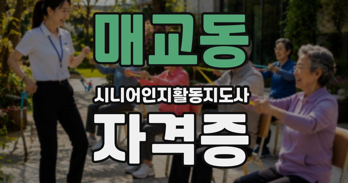 매교동 시니어인지활동지도사 자격증