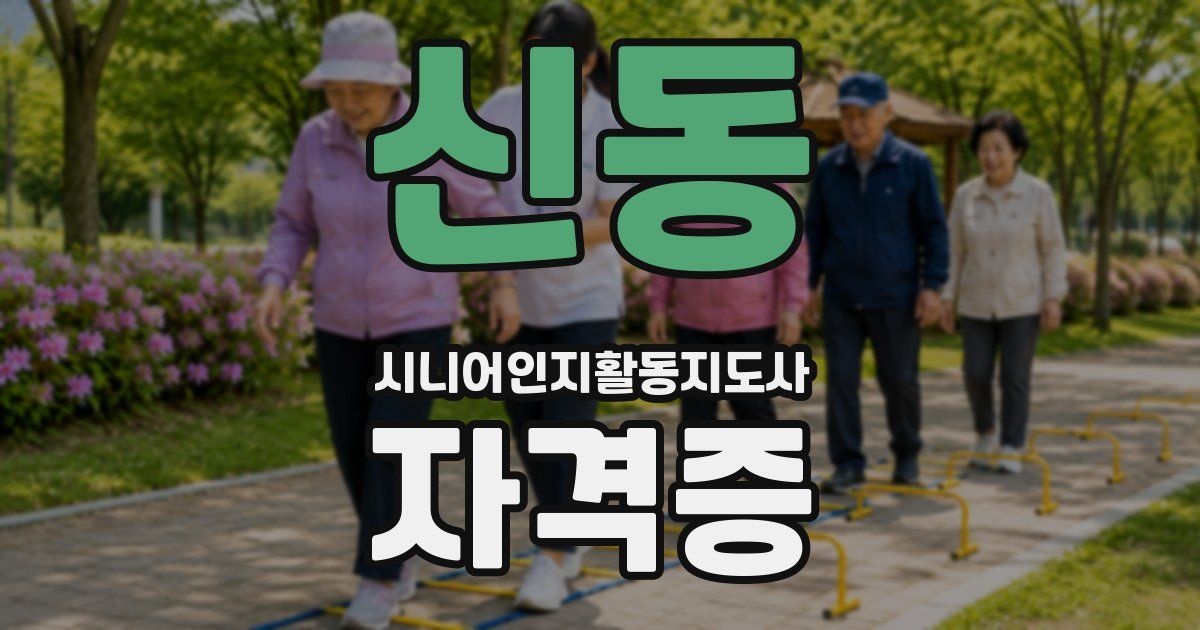 신동 시니어인지활동지도사 자격증