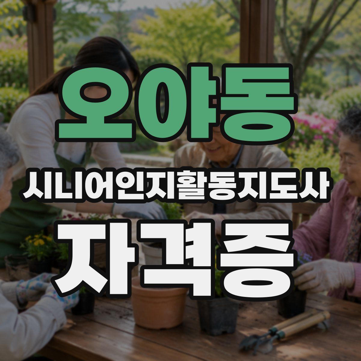 오야동 시니어인지활동지도사 자격증