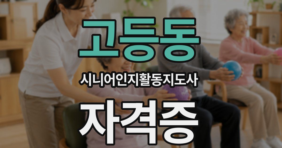 고등동 시니어인지활동지도사 자격증