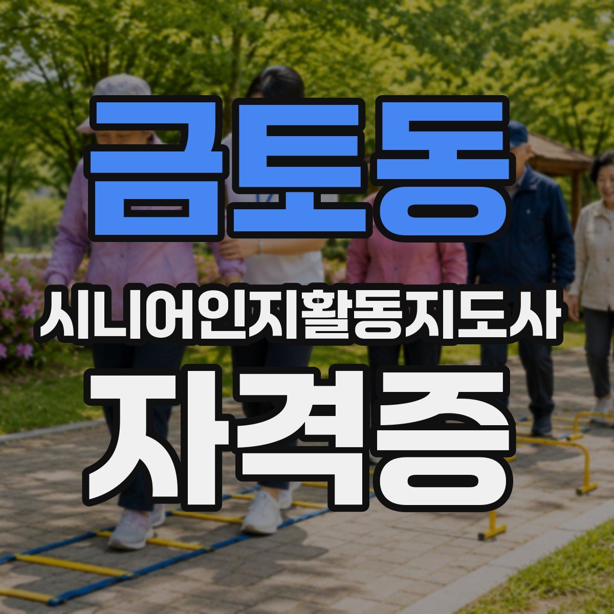 금토동 시니어인지활동지도사 자격증