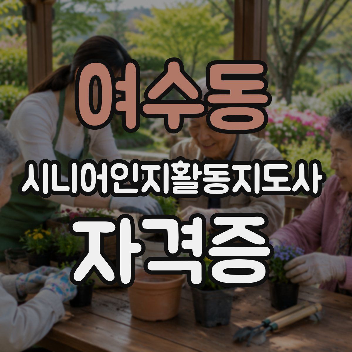 여수동 시니어인지활동지도사 자격증