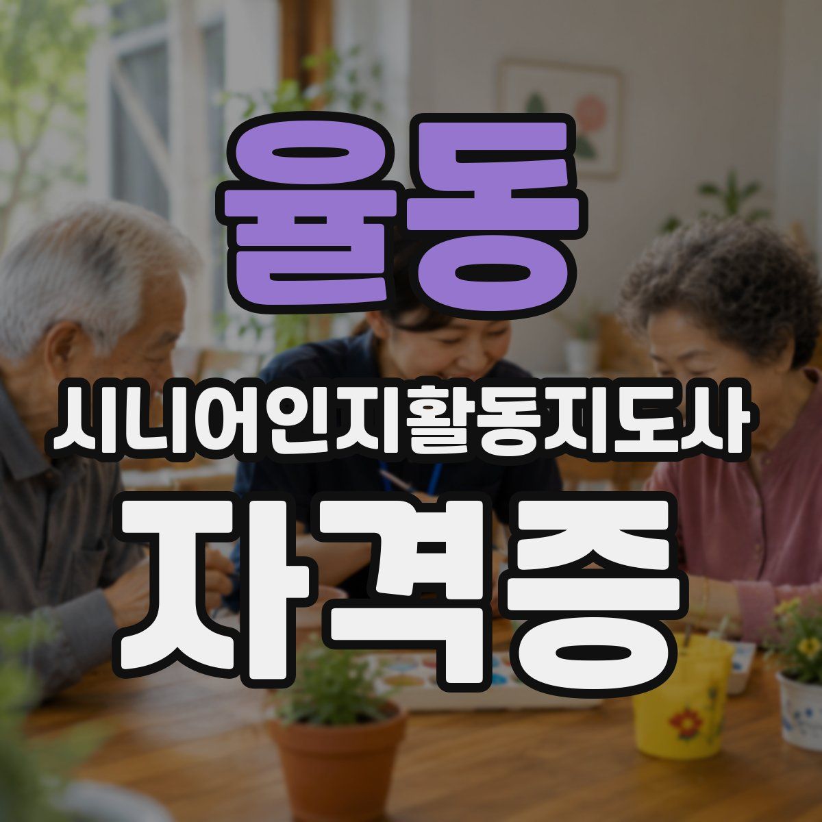 율동 시니어인지활동지도사 자격증