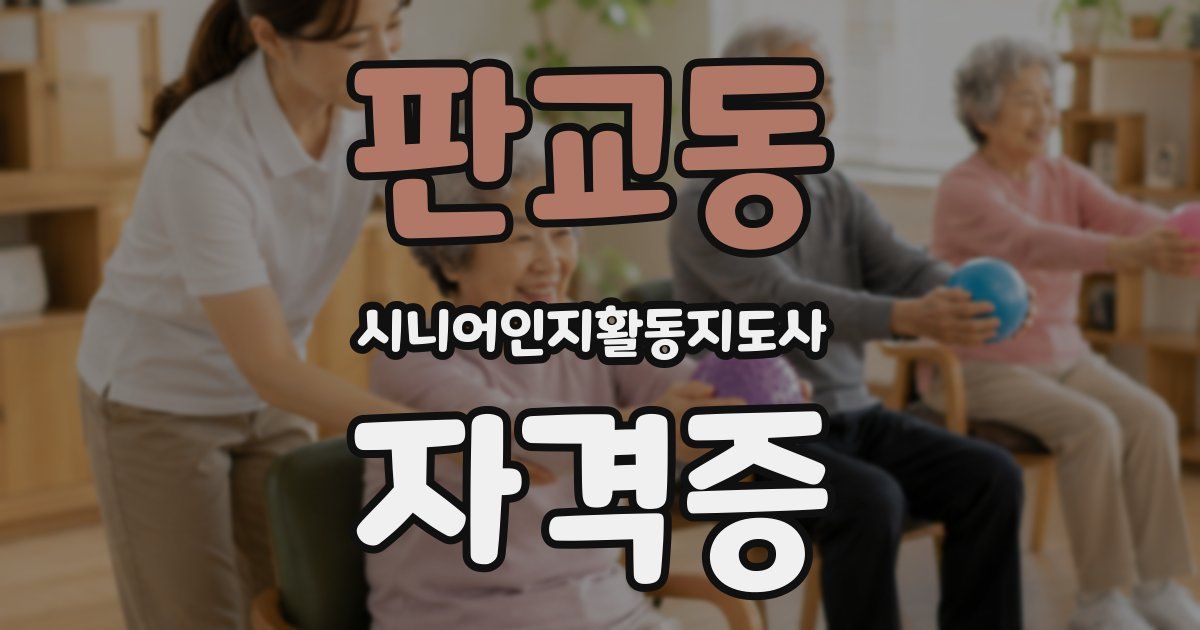판교동 시니어인지활동지도사 자격증