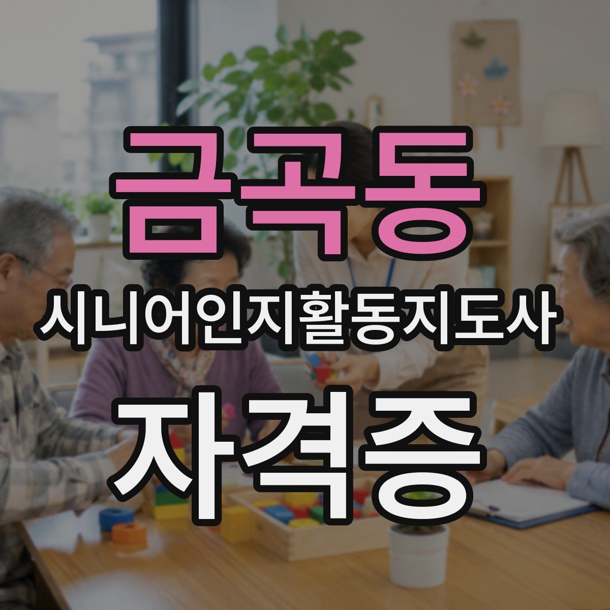 금곡동 시니어인지활동지도사 자격증