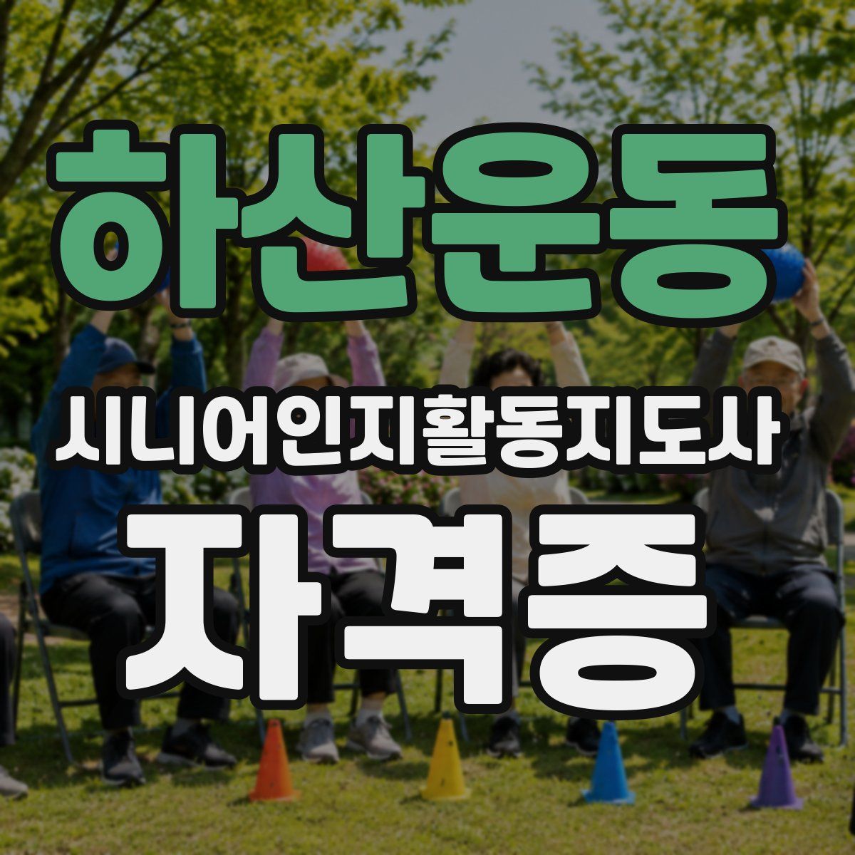 하산운동 시니어인지활동지도사 자격증
