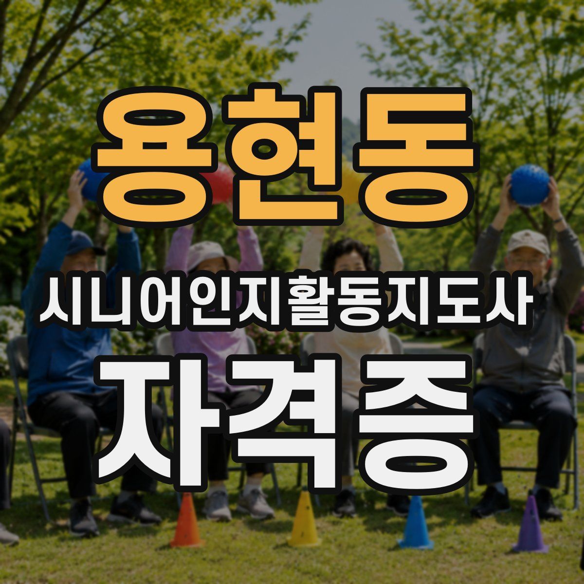 용현동 시니어인지활동지도사 자격증