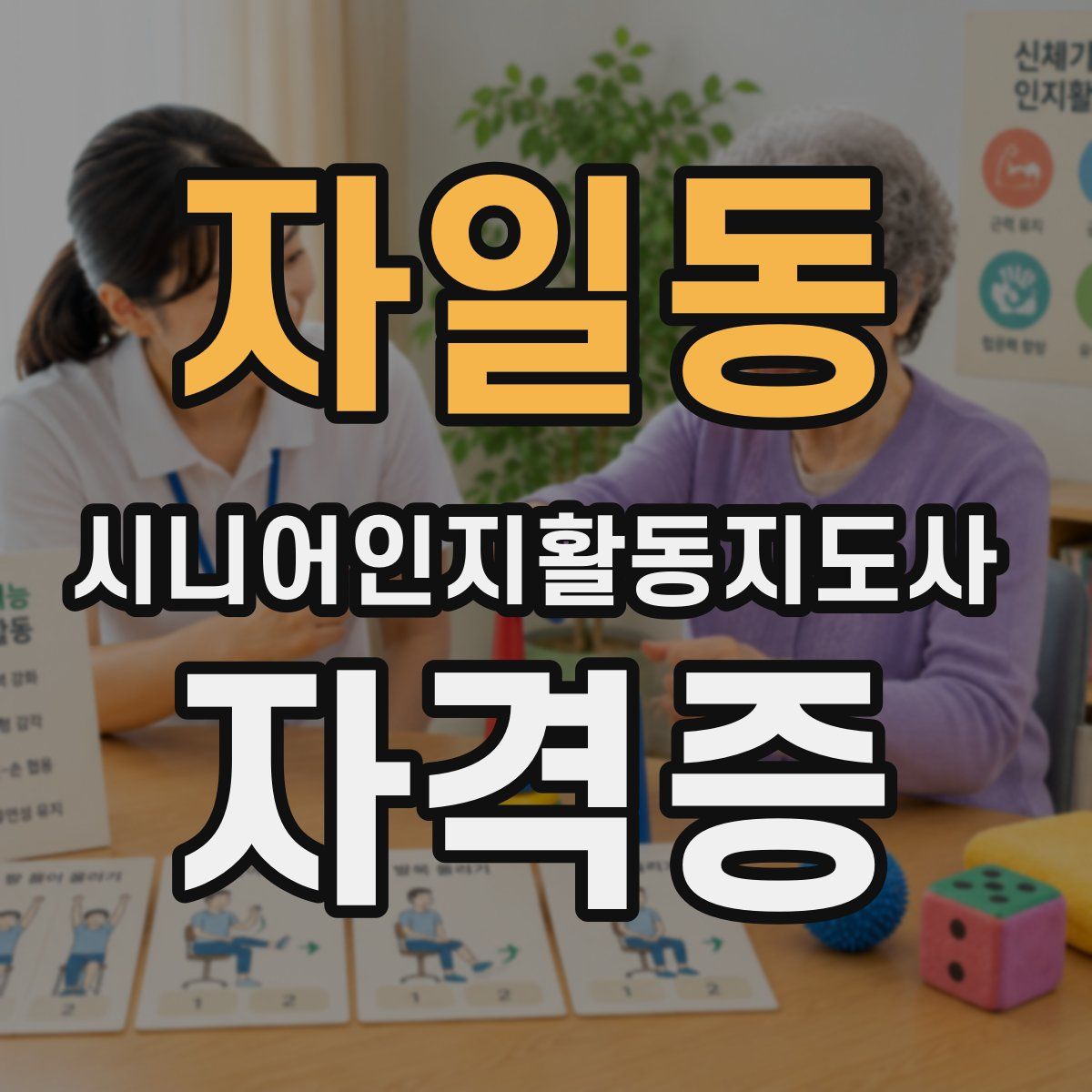 자일동 시니어인지활동지도사 자격증