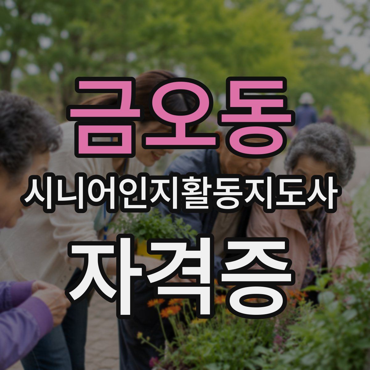 금오동 시니어인지활동지도사 자격증