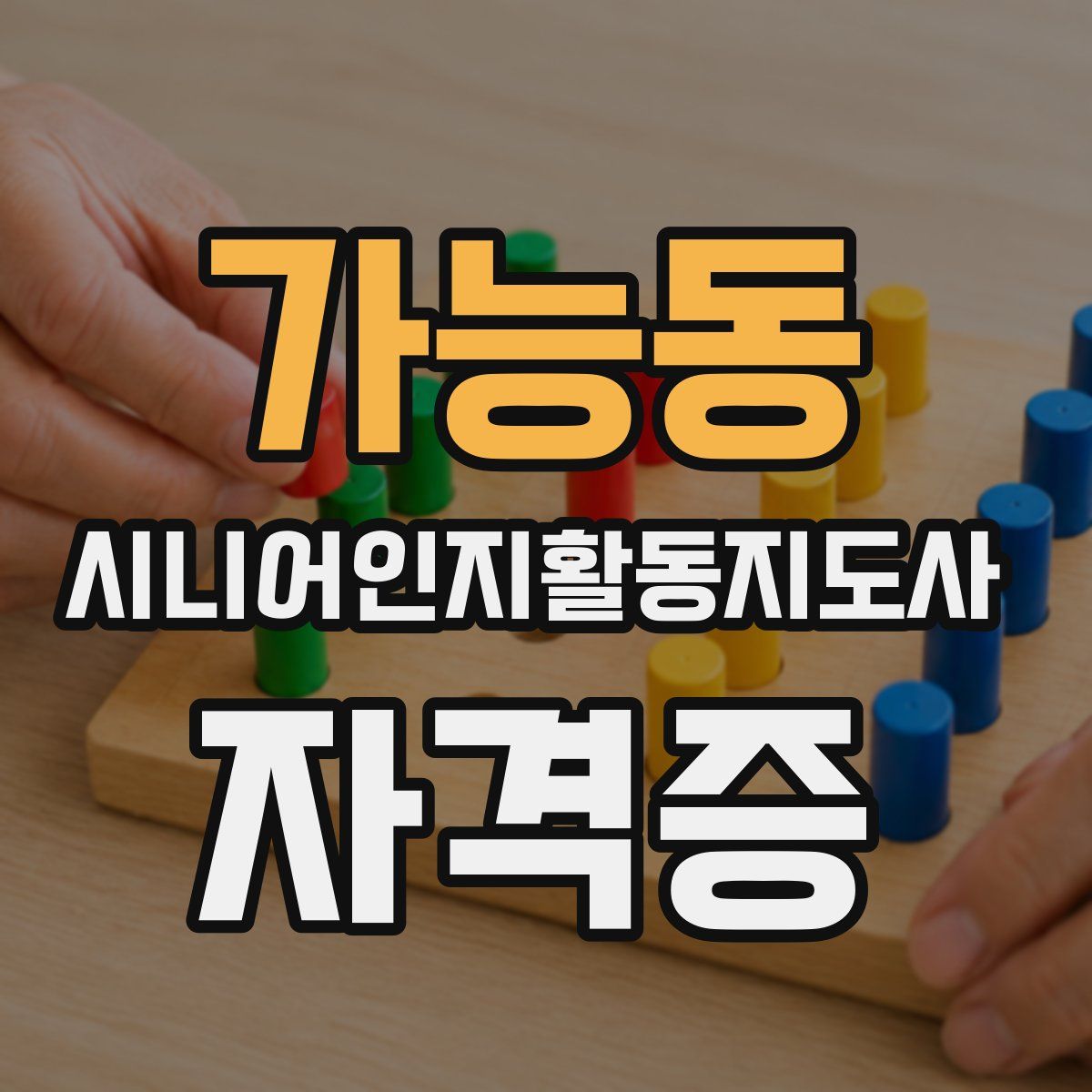 가능동 시니어인지활동지도사 자격증