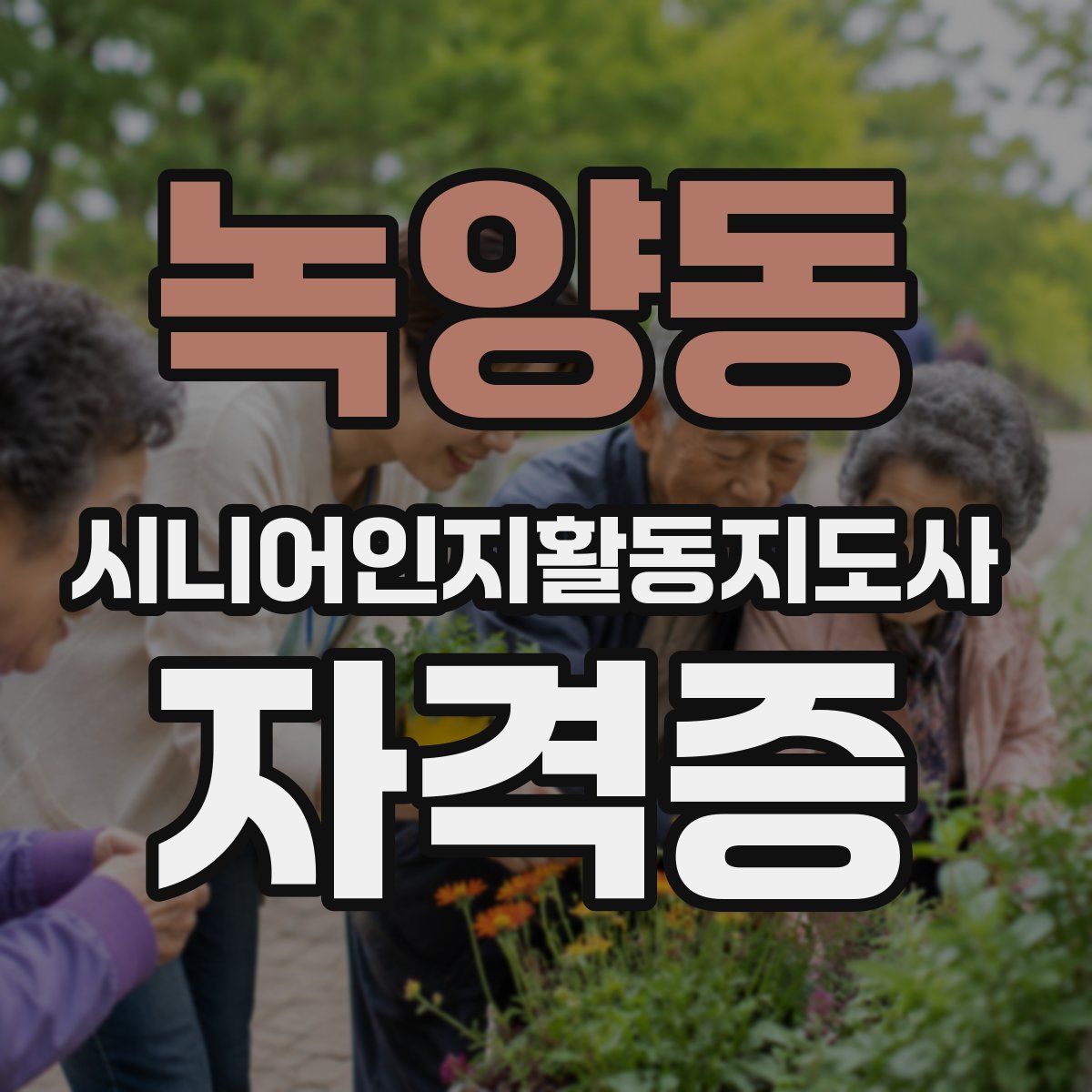 녹양동 시니어인지활동지도사 자격증