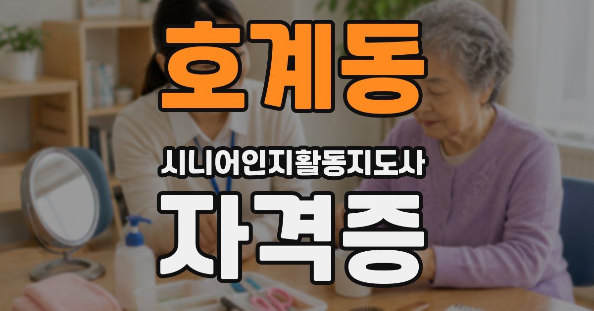 호계동 시니어인지활동지도사 자격증