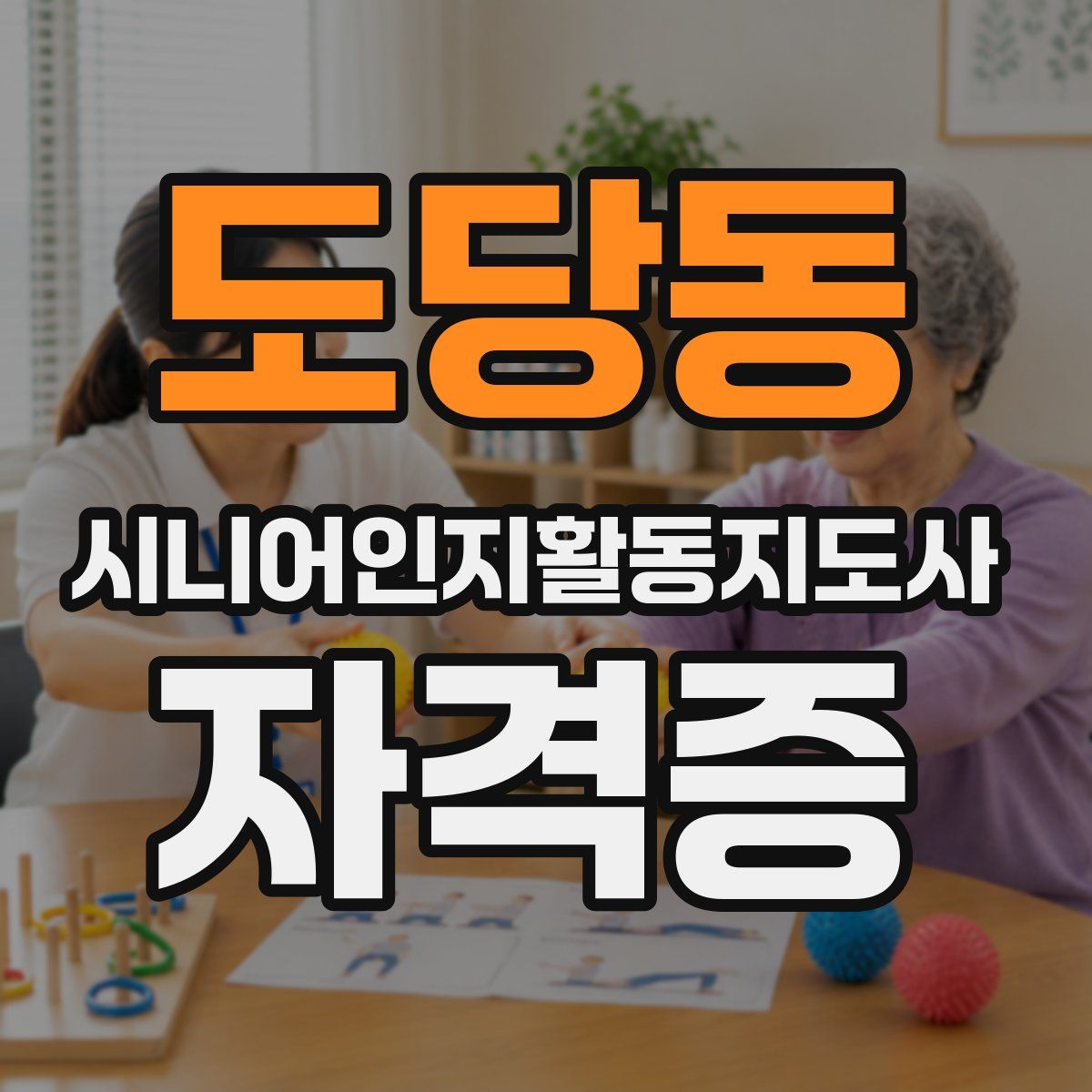 도당동 시니어인지활동지도사 자격증