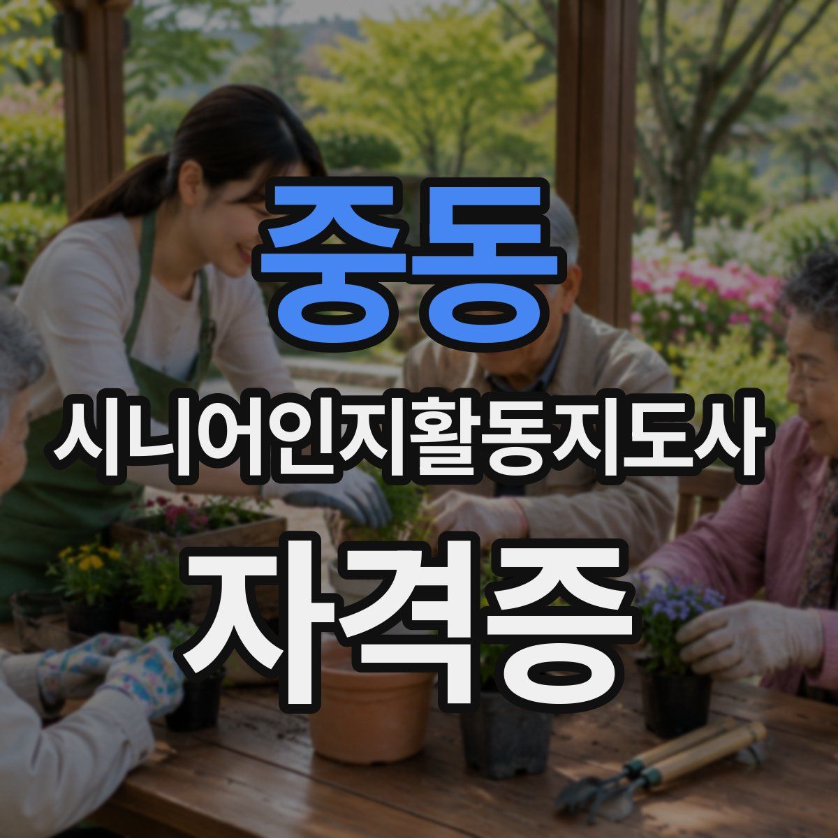 중동 시니어인지활동지도사 자격증
