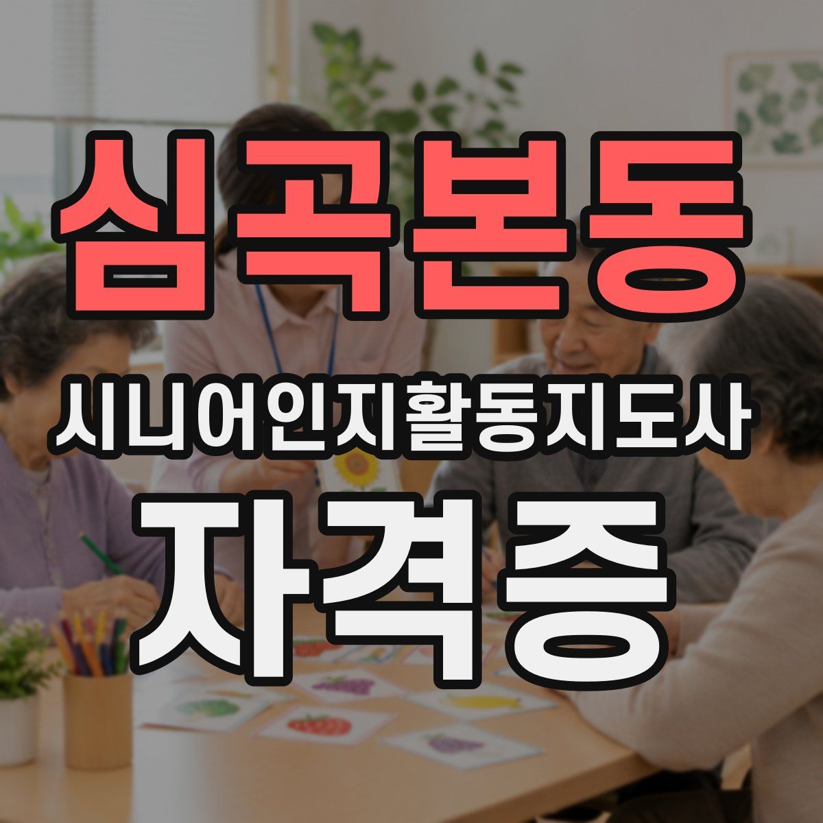 심곡본동 시니어인지활동지도사 자격증